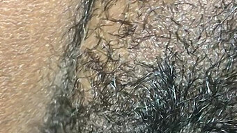 Kontol hitam besar berbulu menembus vagina yang ketat